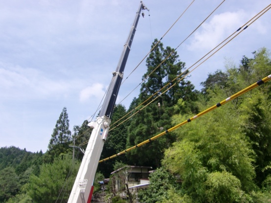 樹木伐採　豊田市内